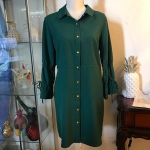 Sharagano Green 👗 dress 🌳🌱🌿